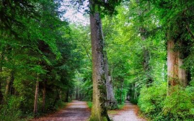 Where Is Your Financial Behavior Taking You?