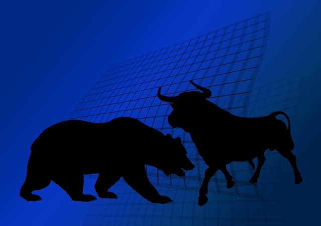 RR-09-bull-bear-blue-stock-exchange-pixabay